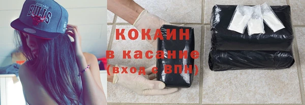 шишки Вязники