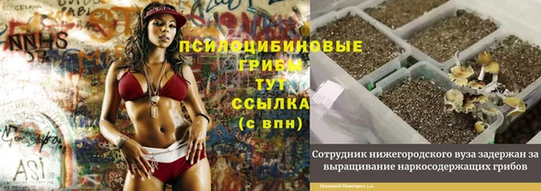 шишки Вязники