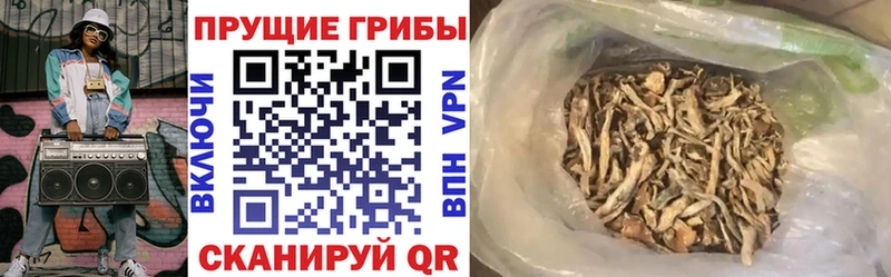 Галлюциногенные грибы прущие грибы  купить наркотики цена  Лукоянов 